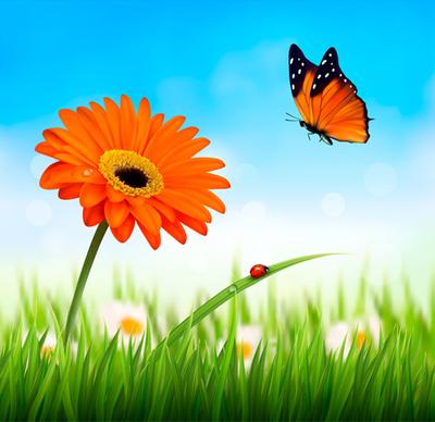summer grass with flower and butterfly background vector