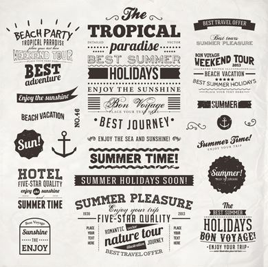 summer holidays label ornaments and logos vector