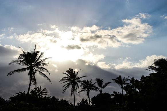 sun shining through clouds above palm trees