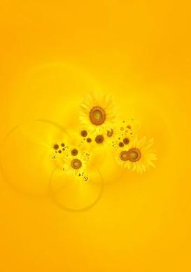 sunflower background image 7