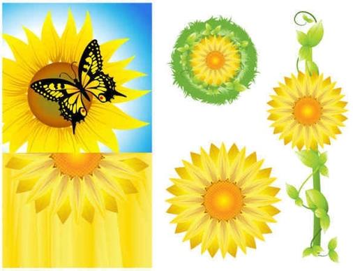 Sunflower Background Vector Graphics