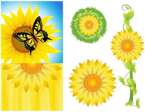sunflower vector
