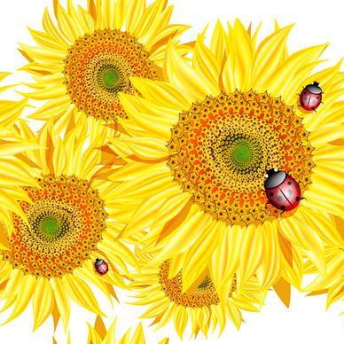 sunflowers with ladybird vector