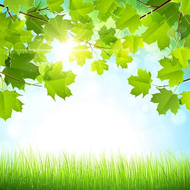 sunlight with nature background art vector