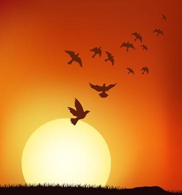 sunset vector under the birds
