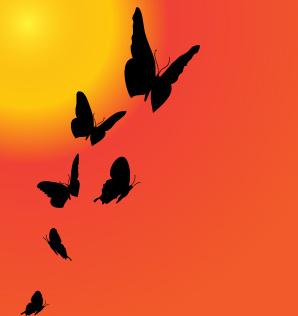 sunset with butterfly silhouette vector