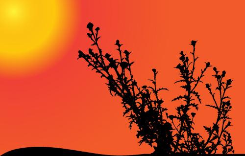 sunset with plant silhouette vector