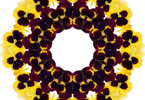 surreal pansy background