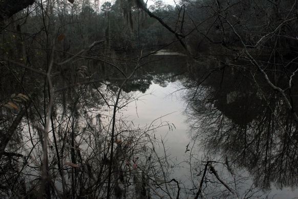 swampmarsh at dusk at reed bingham state park georgia