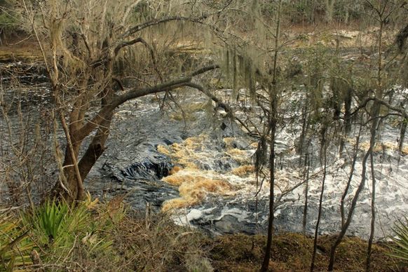 swirling waters of suwanee river at big shaols state park florida