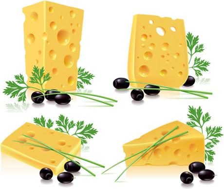 tasty cheese food vector set