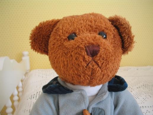 teddy bear brown clothing