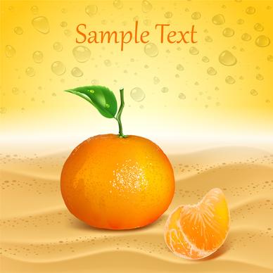 template vector with fresh orange background