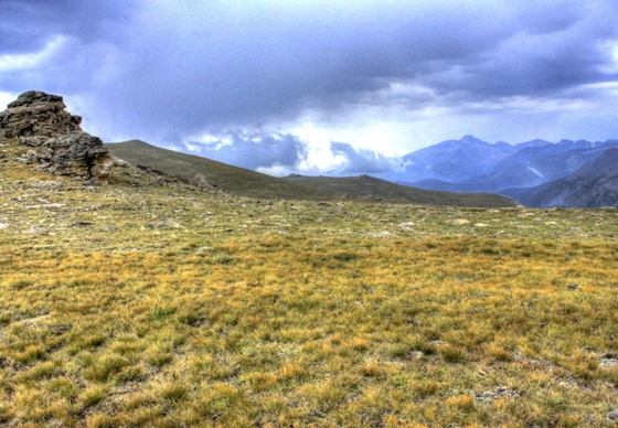 the high alpine tunda at rocky mountains national park colorado