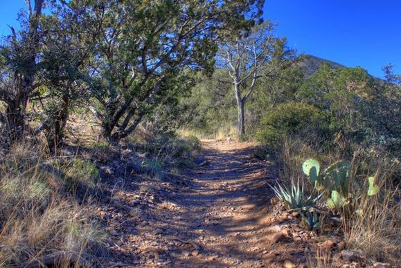 the hiking path at big bend national park texas