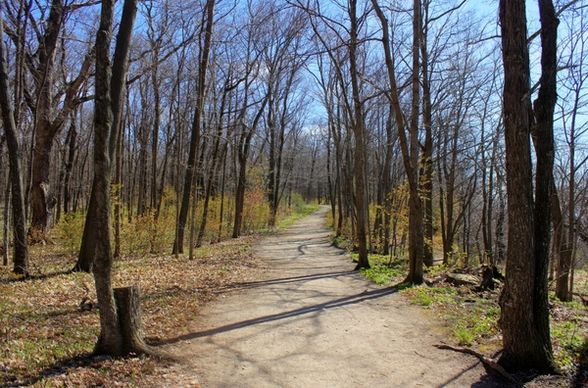 the hiking trail at high cliff state park wisconsin