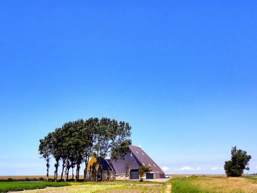 the netherlands landscape scenic