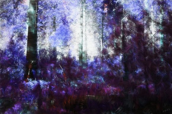 the purple forest
