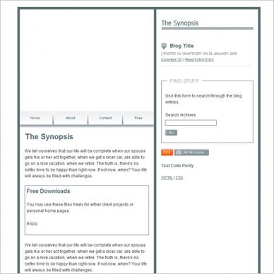 The Synopsis Template