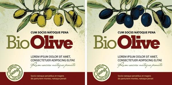 olive oil label templates colored classical fruits decor