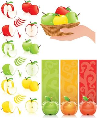 threecolor apple vector