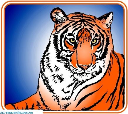 Tiger 00525