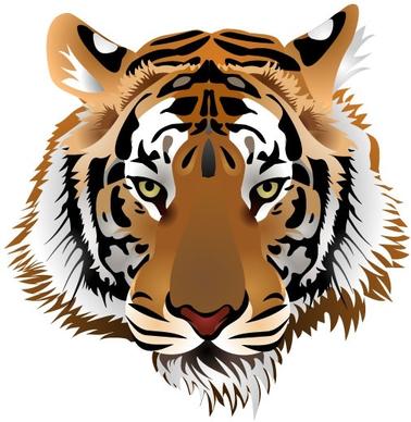 tiger image 03 vector