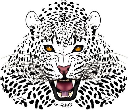 tiger image 18 vector