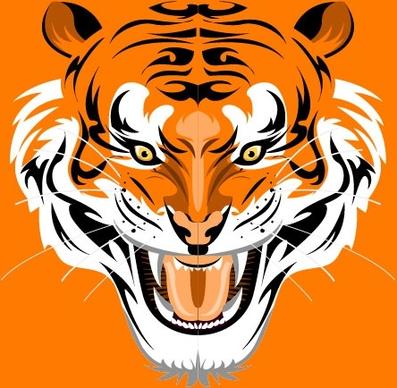 tiger image 43 vector