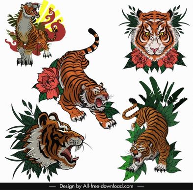 tigers icons colored classical sketch