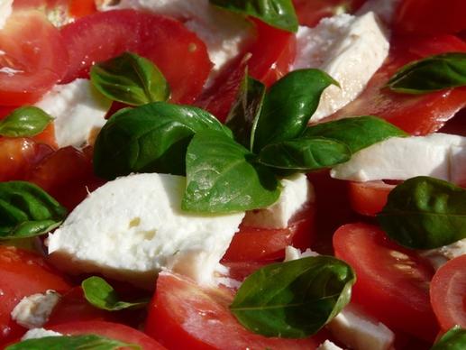 tomato and mozzarella salad basil tomatoes