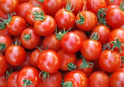 tomato background picture