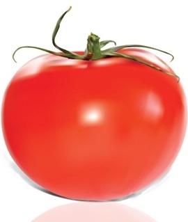 red tomato icon design closeup realistic style