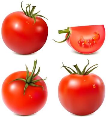 tomato icons shiny red design realistic decor