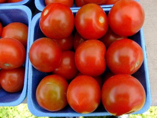 tomatoes fruit garden