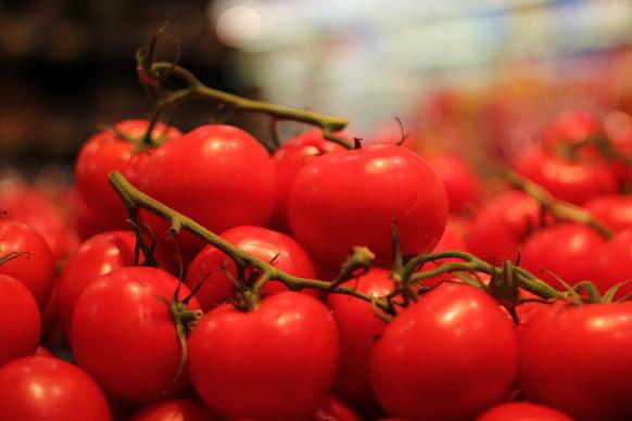 tomatoes tomaten