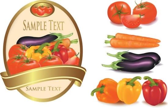 fruit label template modern colorful vegetables elements sketch