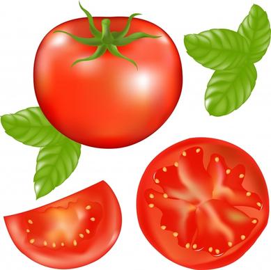 fresh tomato icons shiny colored modern design