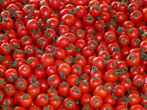 tomatoes vegetables red