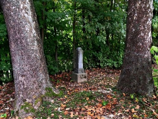tombstone and trees