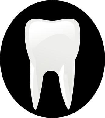Tooth Molar clip art