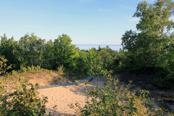 top of the dune at whitefish dunes state park