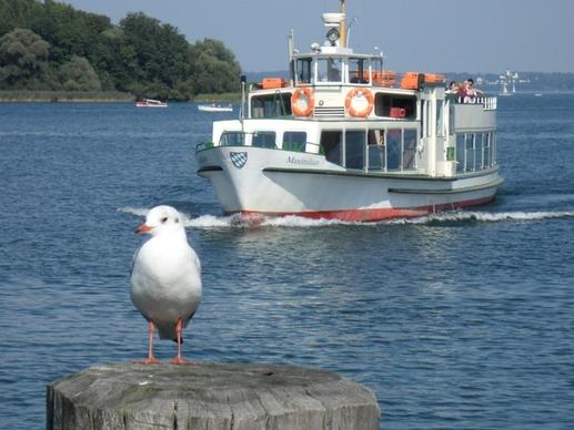 tourism ship seagull