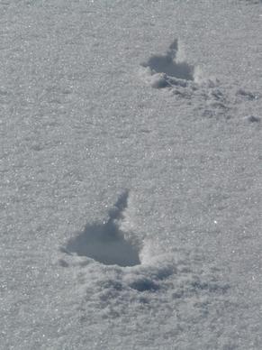 traces snow snowy