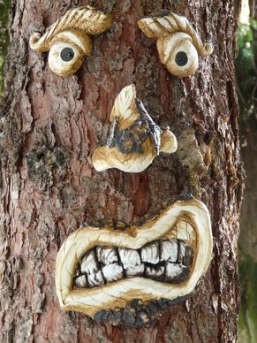 tree face tree spirit tree