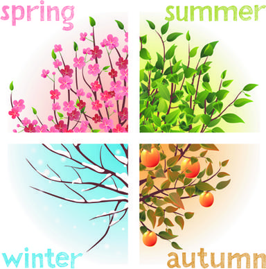 tree with four seasons vector