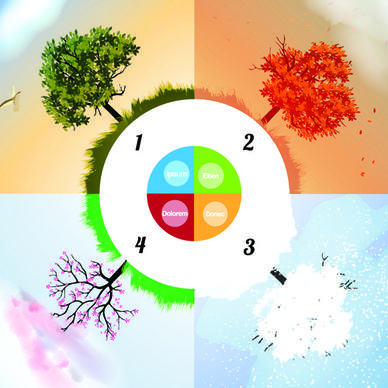 tree with four seasons vector