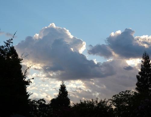 treeframed cloud 742