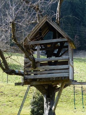 treehouse tree hut home