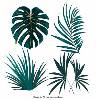 tropical design elements green leaf shapes sketch